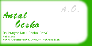 antal ocsko business card